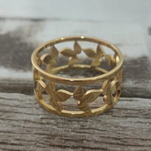 Anillo de Acero