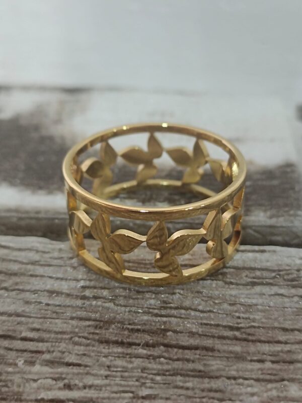 Anillo de Acero