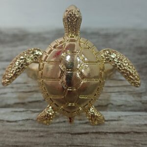 Anillo Tortuga